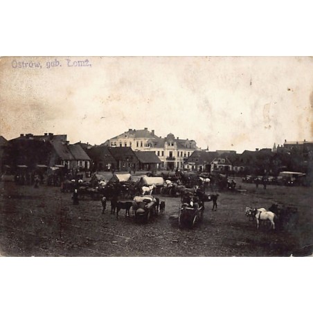 Rare collectable postcards of Poland. Vintage Postcards of Poland