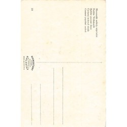 Rare collectable postcards of Romania. Vintage Postcards of Romania