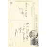 Rare collectable postcards of Morocco. Vintage Postcards of Morocco