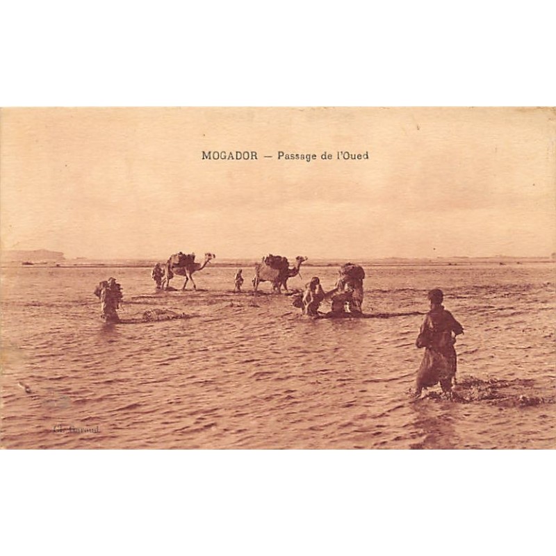 Rare collectable postcards of Morocco. Vintage Postcards of Morocco