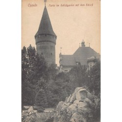 Rare collectable postcards of POLAND. Vintage Postcards of POLAND