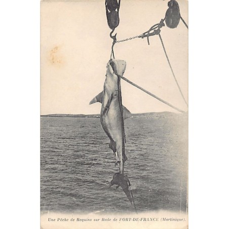 Rare collectable postcards of Martinique. Vintage Postcards of Martinique