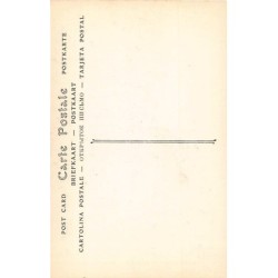 Rare collectable postcards of Martinique. Vintage Postcards of Martinique