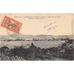 Rare collectable postcards of Martinique. Vintage Postcards of Martinique