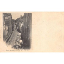 Rare collectable postcards of Martinique. Vintage Postcards of Martinique