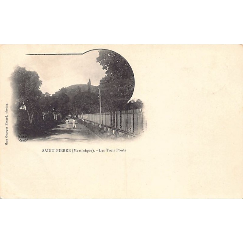 Rare collectable postcards of Martinique. Vintage Postcards of Martinique