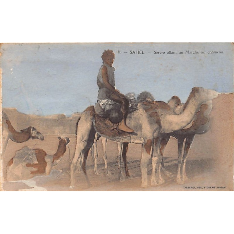 Rare collectable postcards of Senegal. Vintage Postcards of Senegal