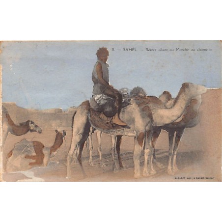 Rare collectable postcards of Senegal. Vintage Postcards of Senegal
