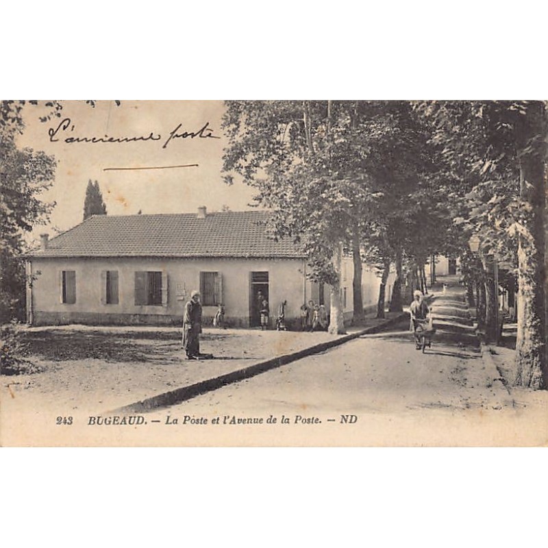 Rare collectable postcards of Algeria. Vintage Postcards of Algeria