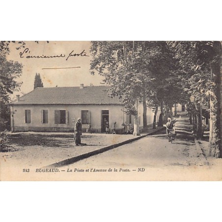 Rare collectable postcards of Algeria. Vintage Postcards of Algeria