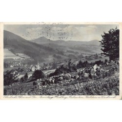 Rare collectable postcards of Germany. Vintage Postcards of Germany