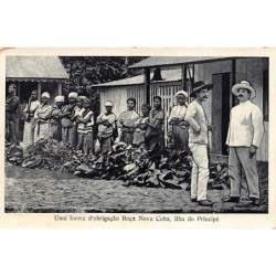 Rare collectable postcards of Sao Tome & Principe. Vintage Postcards of Sao Tome & Principe