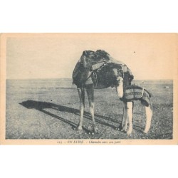 Rare collectable postcards of Syria. Vintage Postcards of Syria