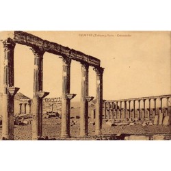 Rare collectable postcards of Syria. Vintage Postcards of Syria