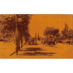 Rare collectable postcards of Syria. Vintage Postcards of Syria