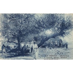 Rare collectable postcards of Syria. Vintage Postcards of Syria