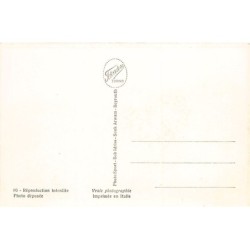 Rare collectable postcards of Syria. Vintage Postcards of Syria