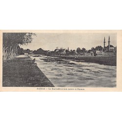 Rare collectable postcards of Syria. Vintage Postcards of Syria