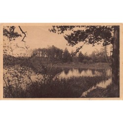 Rare collectable postcards of POLAND. Vintage Postcards of POLAND