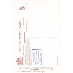 Rare collectable postcards of Martinique. Vintage Postcards of Martinique