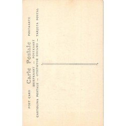 Rare collectable postcards of Martinique. Vintage Postcards of Martinique