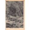Rare collectable postcards of Martinique. Vintage Postcards of Martinique
