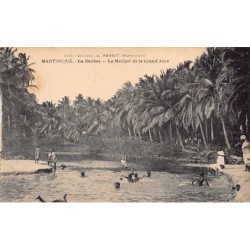 Rare collectable postcards of Martinique. Vintage Postcards of Martinique