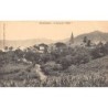 Rare collectable postcards of Martinique. Vintage Postcards of Martinique