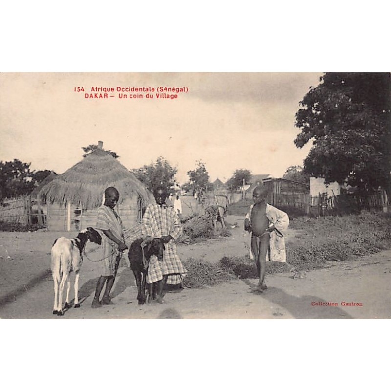 Rare collectable postcards of Senegal. Vintage Postcards of Senegal