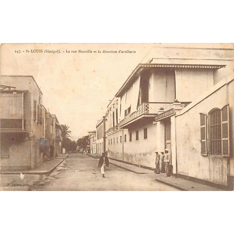 Rare collectable postcards of Senegal. Vintage Postcards of Senegal