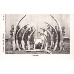 Rare collectable postcards of Kenya. Vintage Postcards of Kenya