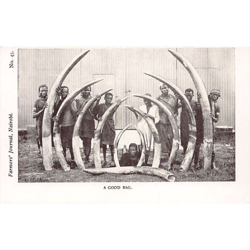 Rare collectable postcards of Kenya. Vintage Postcards of Kenya