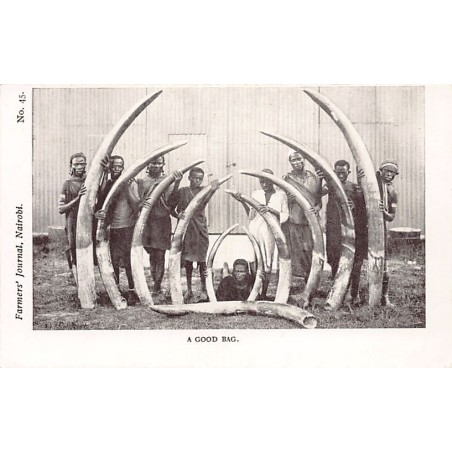 Rare collectable postcards of Kenya. Vintage Postcards of Kenya