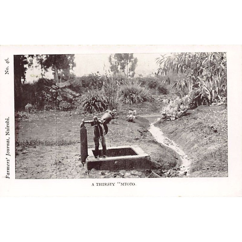 Rare collectable postcards of Kenya. Vintage Postcards of Kenya