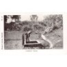Rare collectable postcards of Kenya. Vintage Postcards of Kenya