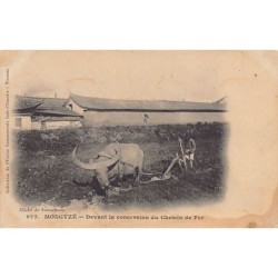 Rare collectable postcards of China. Vintage Postcards of China