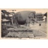 Rare collectable postcards of China. Vintage Postcards of China