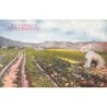 Rare collectable postcards of China. Vintage Postcards of China