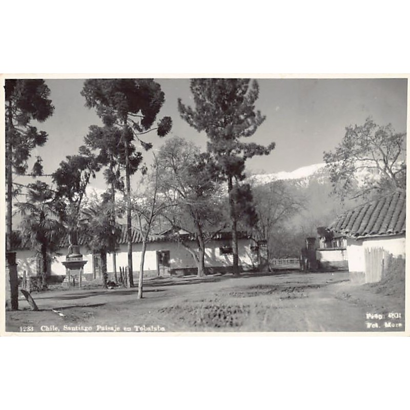 Rare collectable postcards of Chile. Vintage Postcards of Chile