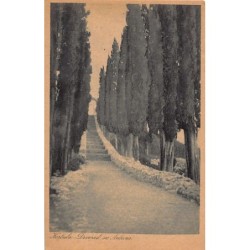 Rare collectable postcards of Croatia. Vintage Postcards of Croatia