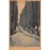 Rare collectable postcards of Croatia. Vintage Postcards of Croatia