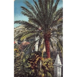 Rare collectable postcards of Croatia. Vintage Postcards of Croatia