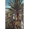 Rare collectable postcards of Croatia. Vintage Postcards of Croatia