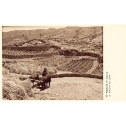 Rare collectable postcards of Greece. Vintage Postcards of Greece