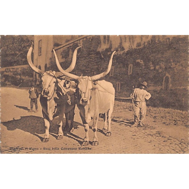 Rare collectable postcards of Italy. Vintage Postcards of Italy