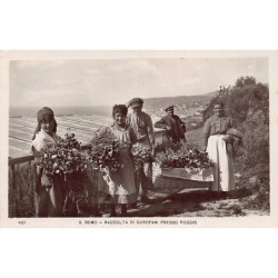 Rare collectable postcards of Italy. Vintage Postcards of Italy