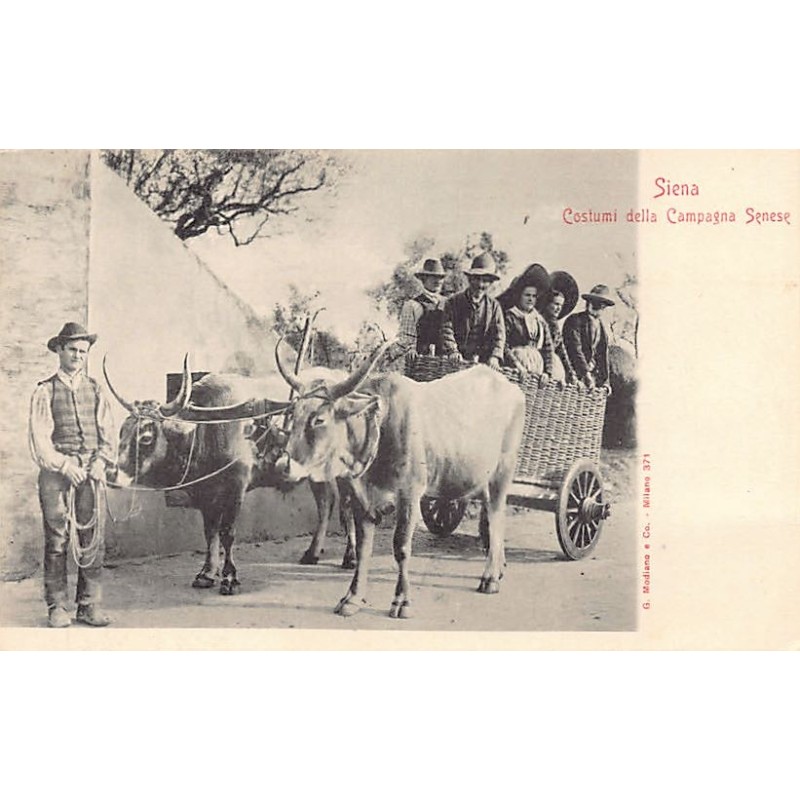 Rare collectable postcards of Italy. Vintage Postcards of Italy