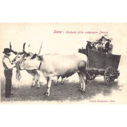 Rare collectable postcards of Italy. Vintage Postcards of Italy