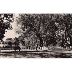Rare collectable postcards of Senegal. Vintage Postcards of Senegal