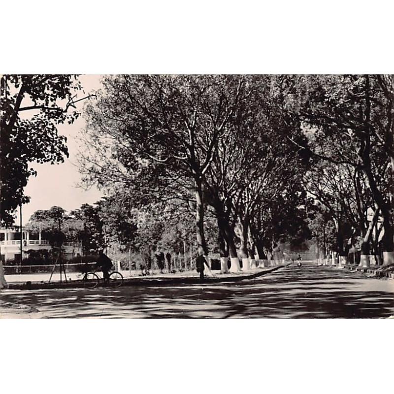 Rare collectable postcards of Senegal. Vintage Postcards of Senegal
